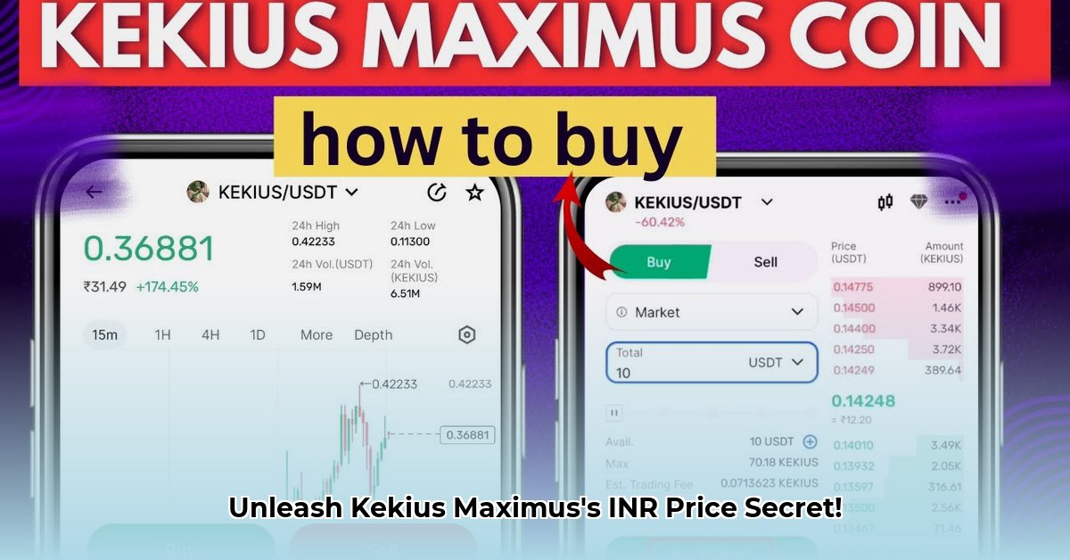 kekius-maximus-coin-price-inr